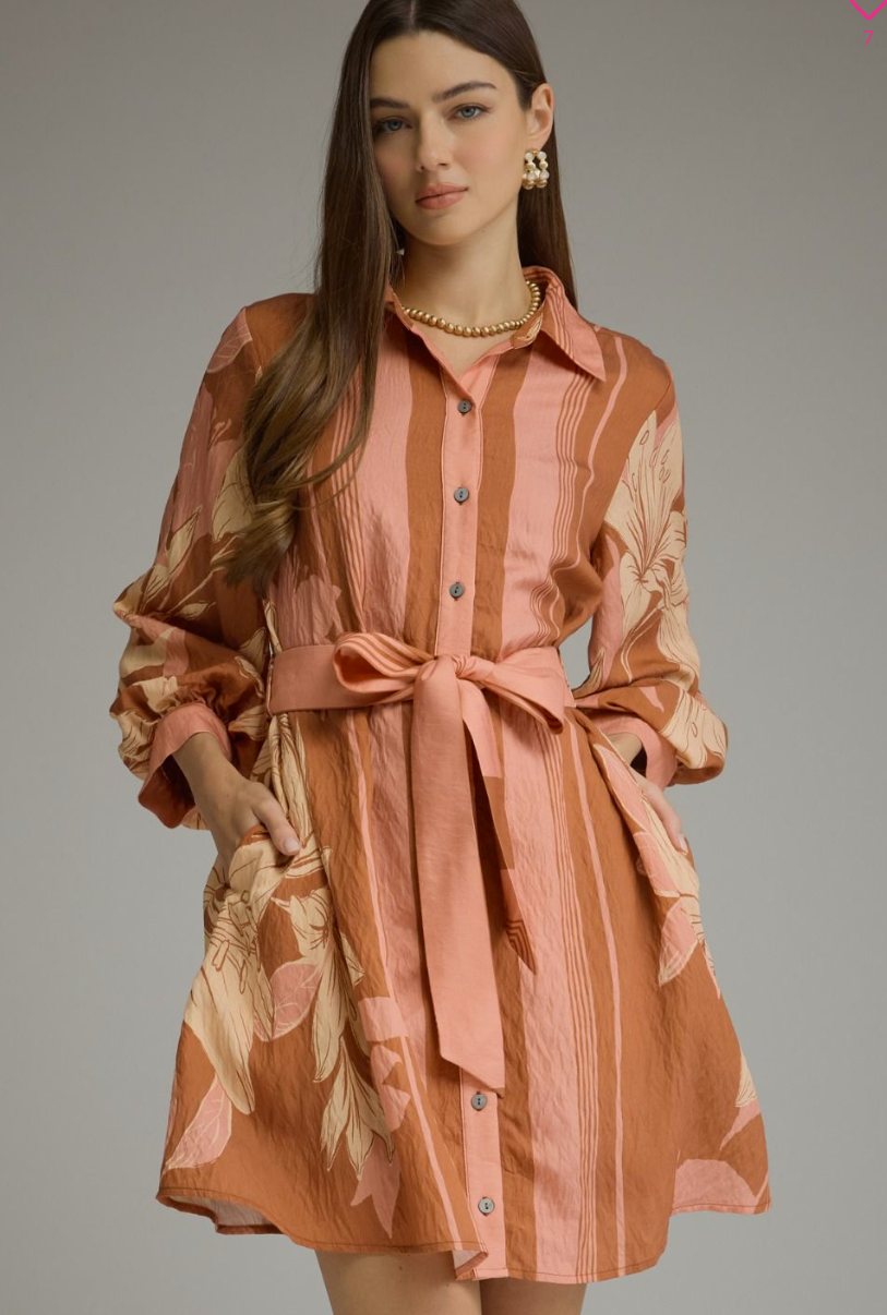 Terracotta Balloon Sleeve Belted Mini Dress