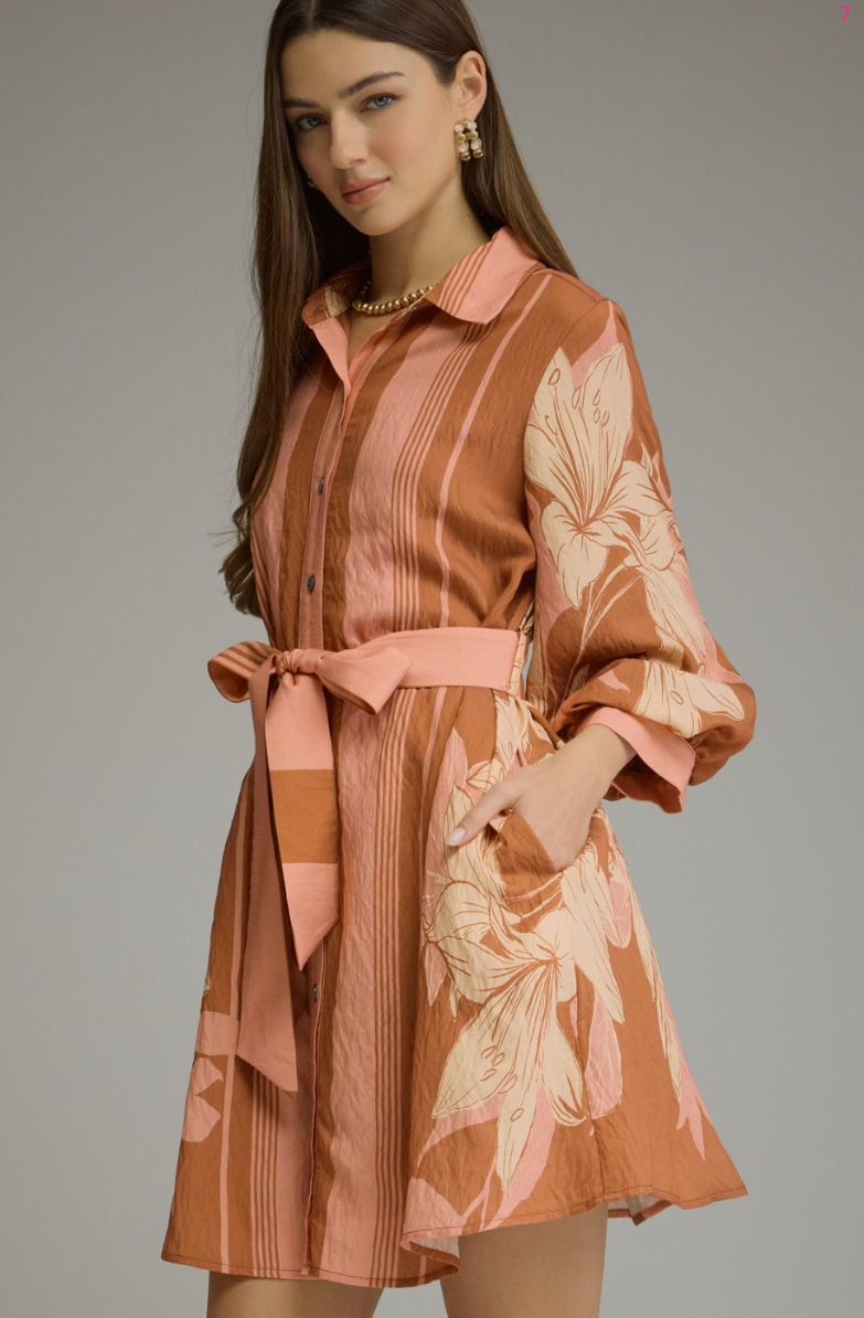 Terracotta Balloon Sleeve Belted Mini Dress